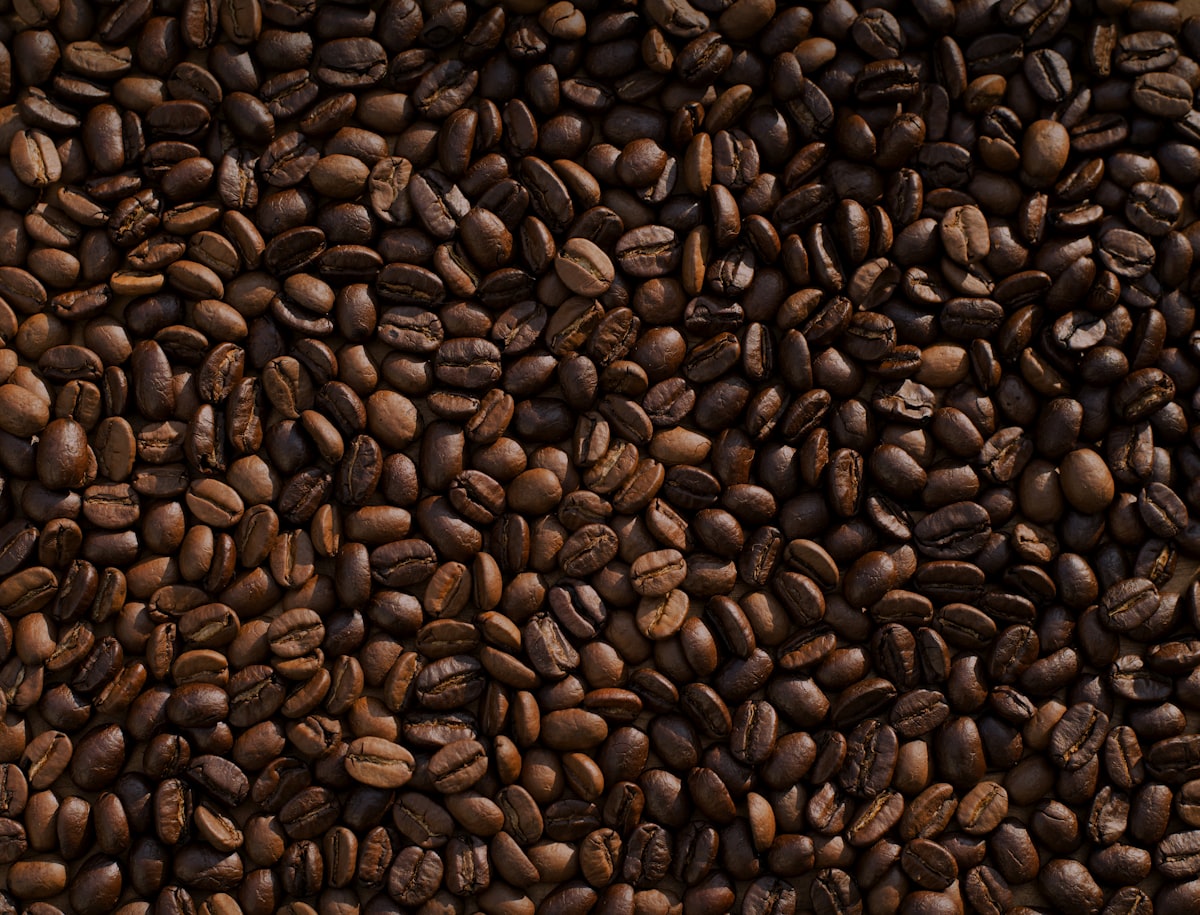 Roasted Ethiopian coffee beans